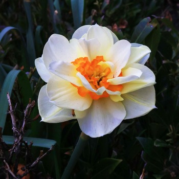 Apr17_0078