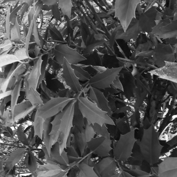 April3_0016-copy