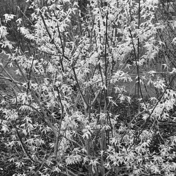 April_4_0020E