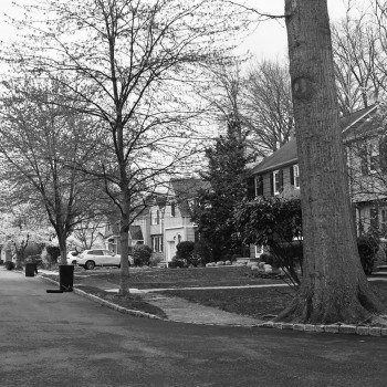 April_4_0066Houses