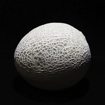 Cantaloupe_0063
