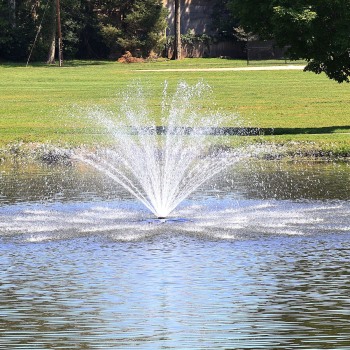 July31_0021