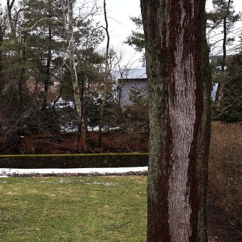 Mar6_0022E