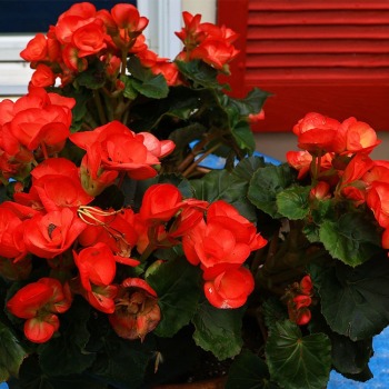 May15_0036