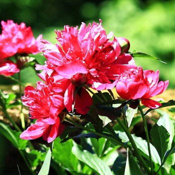 May29_0039_S_E
