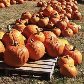 Oct17_0006