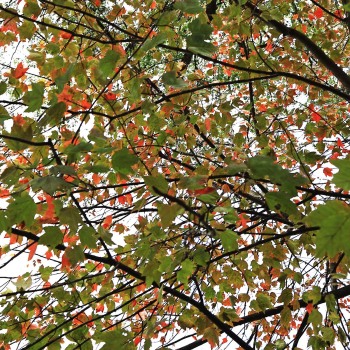 Oct24_0046