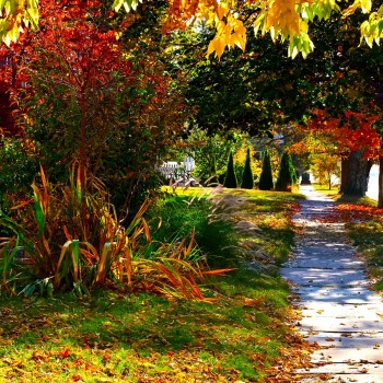 Oct25_0081
