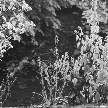 Sep27_0050